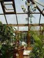 China best quality sun house/sun room/green house 4