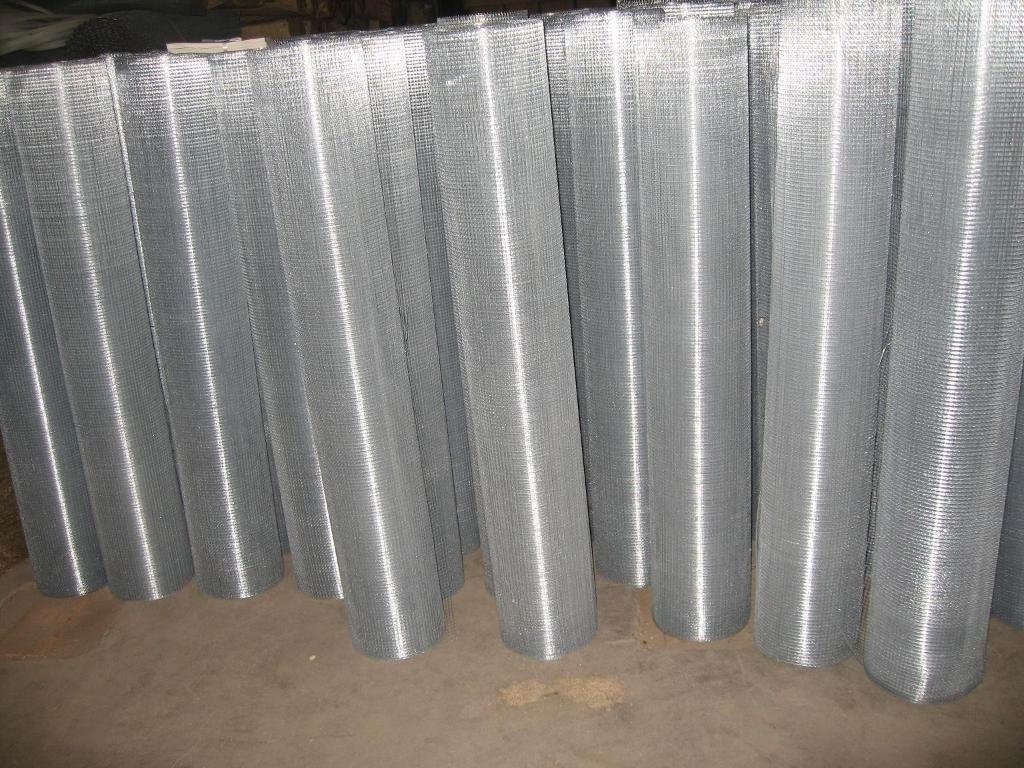 冷鍍電焊網 2