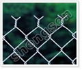 Chain Link Fence 1