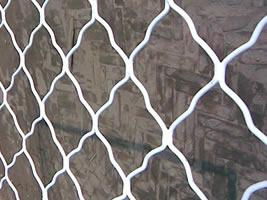 Sell Quality Carbon Steel Wire Guarding Mesh 2