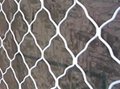 Sell Quality Carbon Steel Wire Guarding Mesh 2