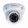 Real Megapixel HD SDI IR Array Dome Camera  4