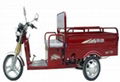 Cargo Electric Tricycle special for