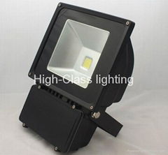 LED flood light