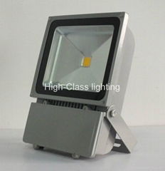 LED flood light