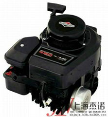 Briggs & Stratton the Series450 vertical shaft engine