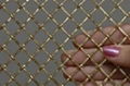 supply Different Colors Brass Decorative Mesh 1