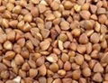 Roasted Buckwheat kernel 