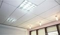 acoustic ceiling board  2