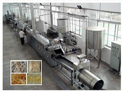 Fruit Chips Production Line