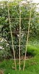 bamboo plant nursery support
