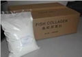 fish collagen