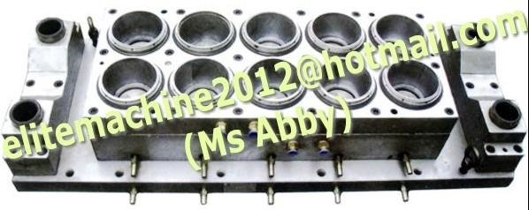 manufacturer of moulds for thermoforming 3