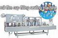 cup filling sealing and packing machine 2