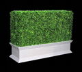 Artificial boxwood hedge