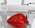 Artificial strawberry  5