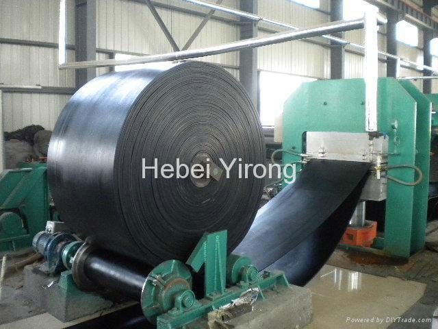 Professional manufacturer of Conveyor Belt