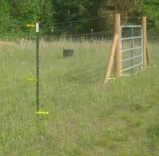 Supply High Quality Low Carbon Sheep & Goat Fencing 