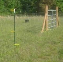 Supply High Quality Low Carbon Sheep & Goat Fencing 