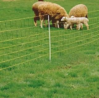 Supply High Quality Low Carbon Sheep & Goat Fencing  3