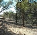 Offer The Closely-Woven is 2"x4" Non-Climb Horse Fence  2