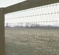 Offer Roll Lehgth is 165'V-Mesh Fence