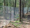 Offer 14, 12, 10 Guage Chain Link Field Fence 5