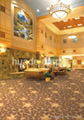 Fashion Design Wilton Carpet for Four-Star Hotel  1