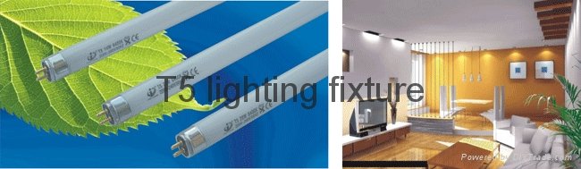 Fluorescent lamp and lighting,LED