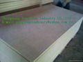 plywood