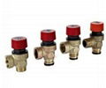 Wall Hung Gas Boiler Parts - Safety Valve 1