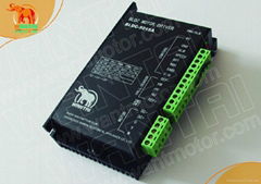 Wantai Brushless DC Motor Driver