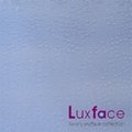 Luxface Architectural resin panels
