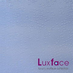 Luxface Architectural resin panels