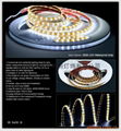 5050-120/m 5050-120珠貼片軟燈條