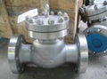 CHECK VALVE 1