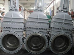 gate valve