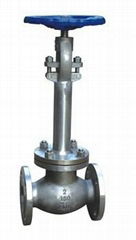 globe valve