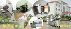 Guilin yibao biology technology Co., Ltd.