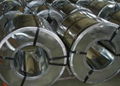 galvanized steel coils 1