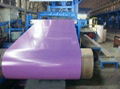 colour coated steel coils