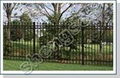 Ornamental Fence  3