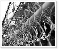 Razor Wire 3