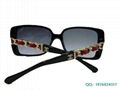 2012 latest sunglasses 2