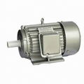 AC motor