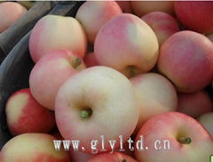 gala apple