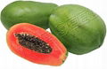 Papaya seed 712 (Tolerant to ring spot virus) 1