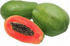 Papaya seed 712 (Tolerant to ring spot virus)