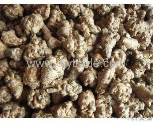 Panax notoginseng extract 5