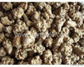 Panax notoginseng extract 5